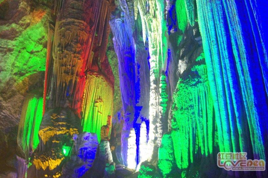 探索绿地肤能种花盆吗?,加入知识星球平台!